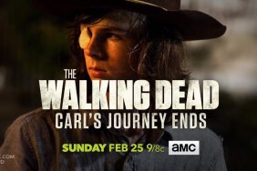 Carl's Journey Promo Teases Walking Dead's Somber Mideason Premiere