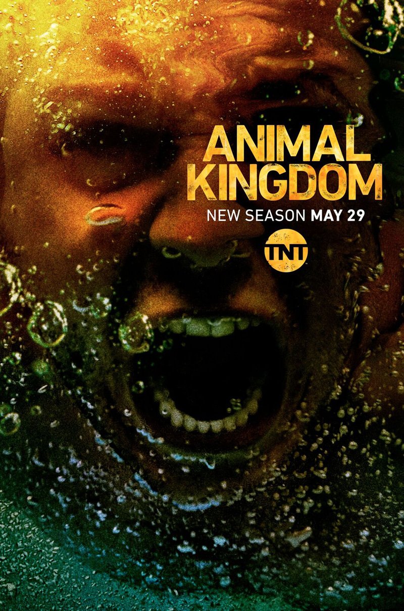 New Animal Kingdom Season 3 Trailer and Key Art Revealed!