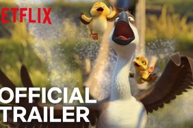 Get Ready to Play in the Duck Duck Goose Trailer