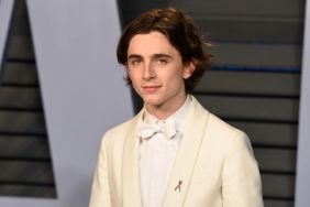 Timothee Chalamet In Talks To Star In Dune Reboot