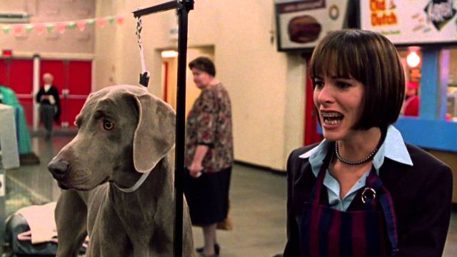 10 best Parker Posey movies