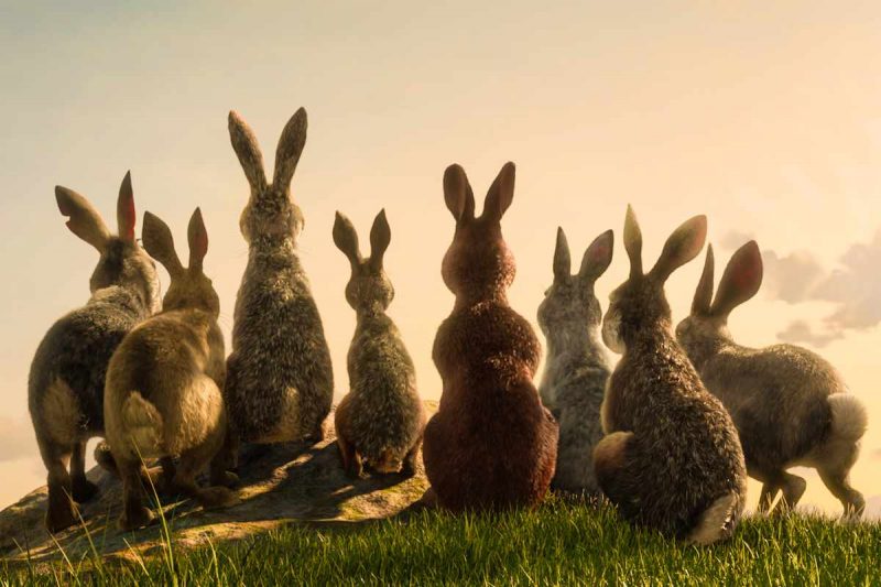 BBC/Netflix adaptation of Watership Down