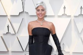 Photos from the 2019 Oscars Red Carpet!