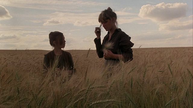 Every Terrence Malick Movie Ranked