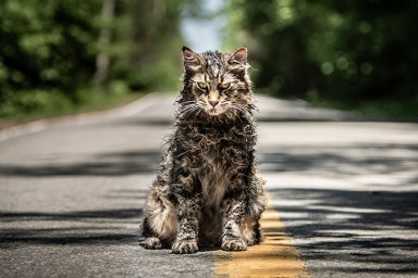 Unearthing the Stephen King References in Pet Sematary