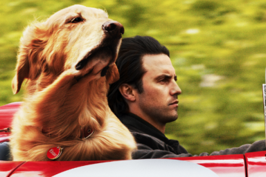 The Art of Racing in the Rain Trailer Delivers A Kevin Costner Voiced Dog