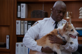 Stewart, The Corgi Behind Brooklyn Nine-Nine's Cheddar, Dies at 13