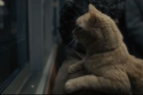 best movie cats