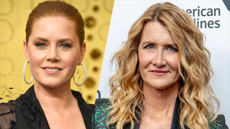 The Most Fun We Ever Had: Amy Adams & Laura Dern Producing HBO Series