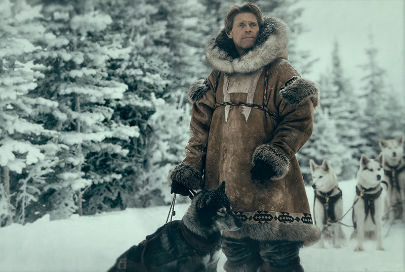 Disney+ Togo Trailer: Willem Dafoe Stars in the Untold True Story