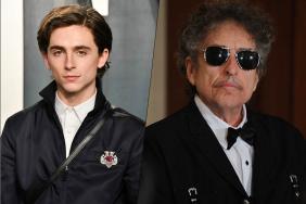 Timothée Chalamet-Led Bob Dylan Biopic Paused Indefinitely