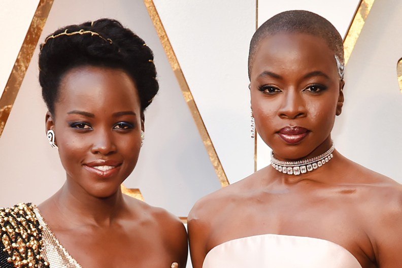 Americanah: Lupita Nyong'o & Danai Gurira Series Not Moving Forward at HBO Max