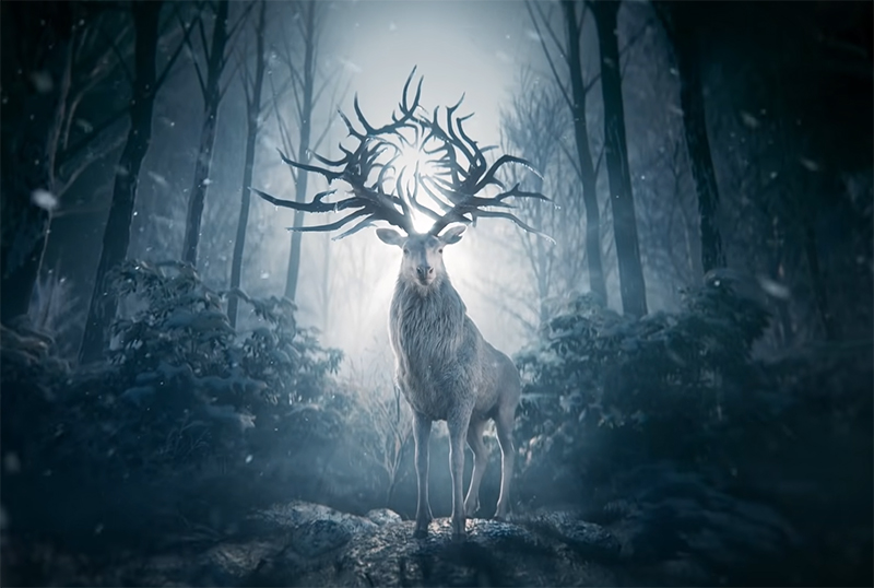 New Shadow and Bone Photos Released for Netflix's Series Adaptation