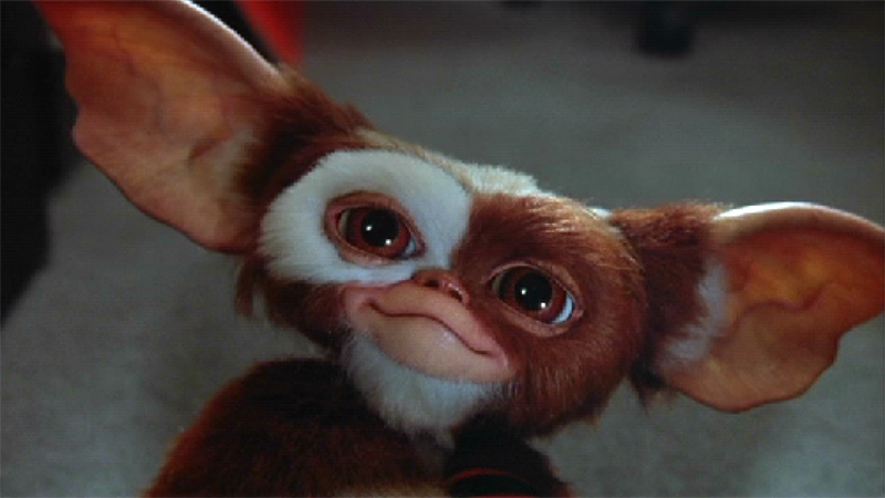 Animated Gremlins Prequel Gets an Early Season 2 Renewal at HBO Max