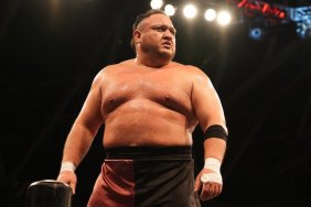 Samoa Joe Sweet Tooth