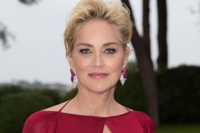 Sharon Stone Joins Kaley Cuoco in The Flight Attendant Season 2