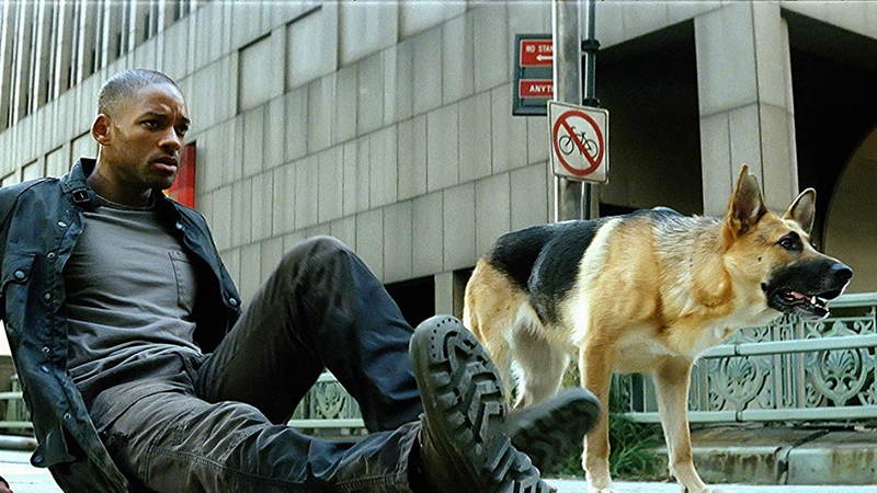 I Am Legend Sequel in Development Starring Will Smith & Michael B. Jordan