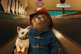 Paddington 3 Nabs Director and Official Title