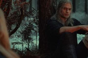 The Witcher on Netflix