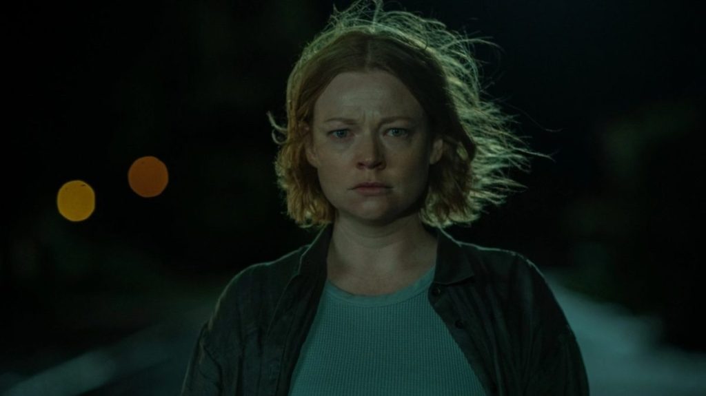 Run Rabbit Run Trailer: Succession's Sarah Snook Stars in Netflix Horror