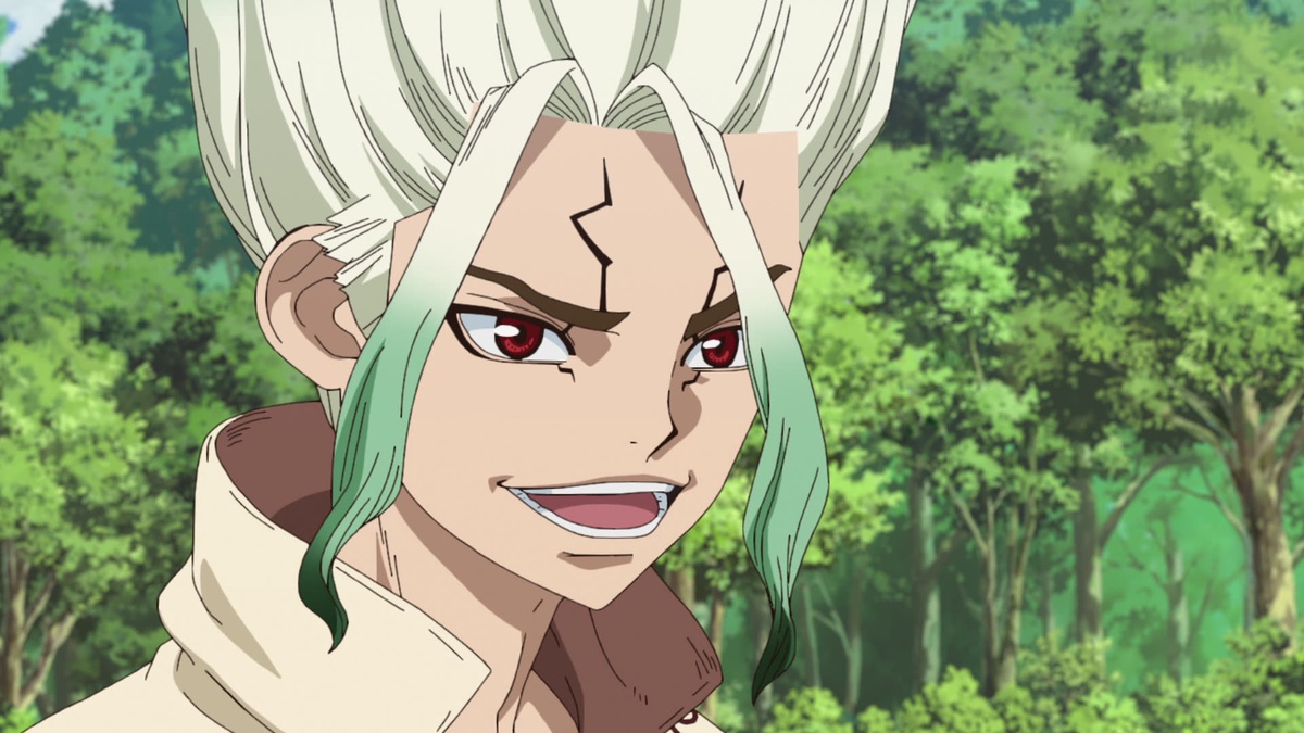 Dr. Stone