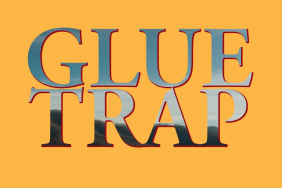 glue trap