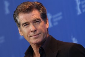 Pierce Brosnan’s House ‘Burglarized’ After Man Defecates on Neighbor’s Lawn