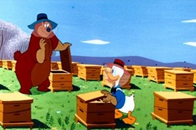 Beezy Bear Where to Watch and Stream Online