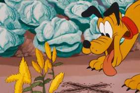 Bone Bandit Where to Watch and Stream Online