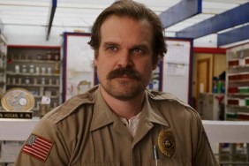 David Harbour in Stranger Things