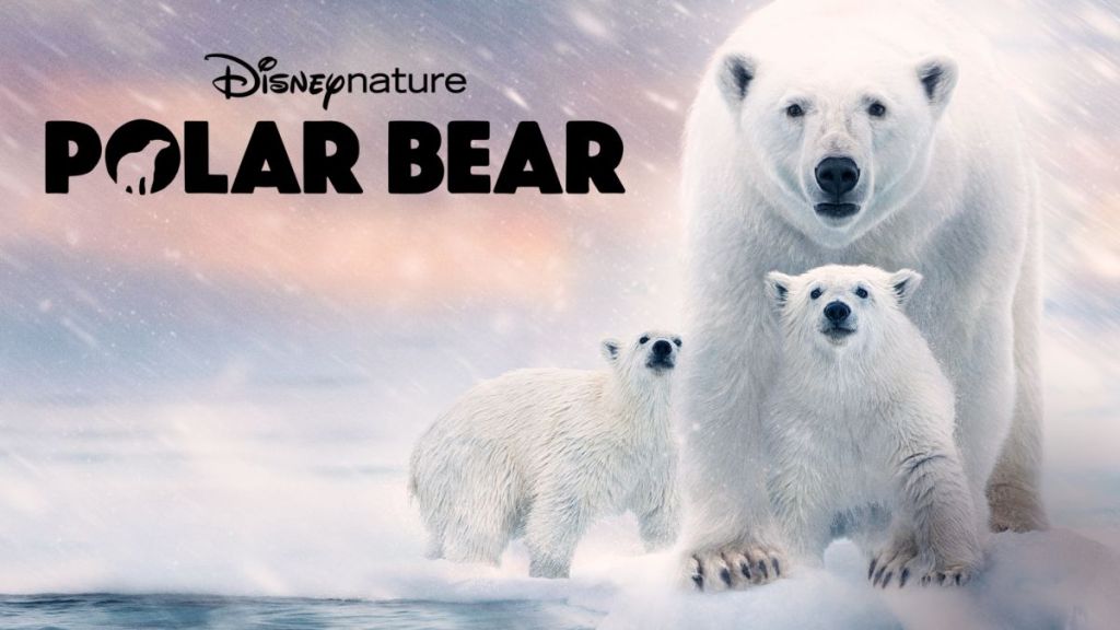 Polar Bear: Where to Watch & Stream Online