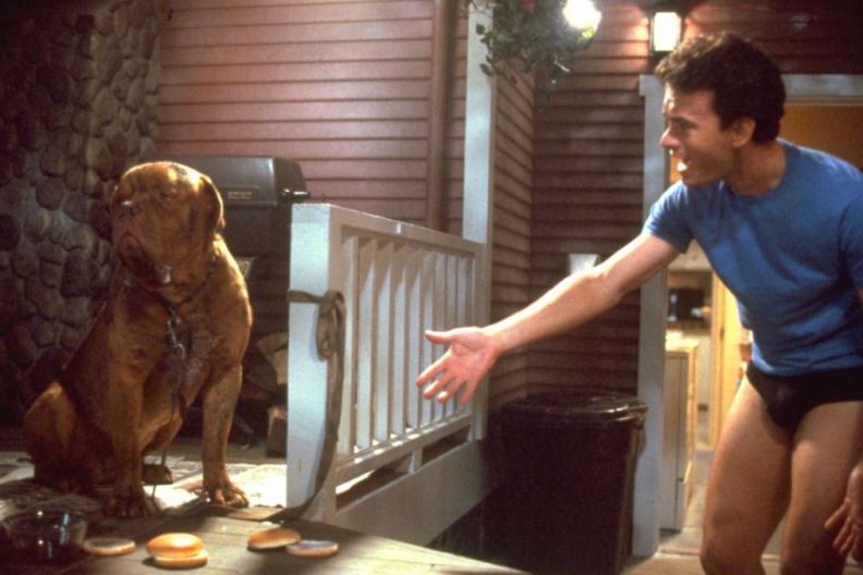 Turner & Hooch