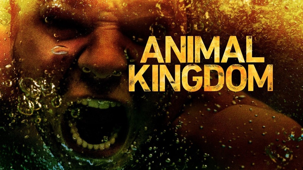 Animal Kingdom Season 3: Where to Watch and Stream Online