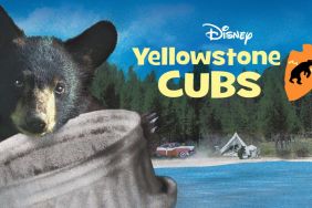 Yellowstone Cubs: Where to Watch & Stream Online