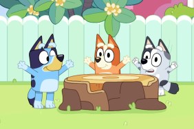 Bluey Season 2 Streaming: Watch & Stream Online via Disney Plus