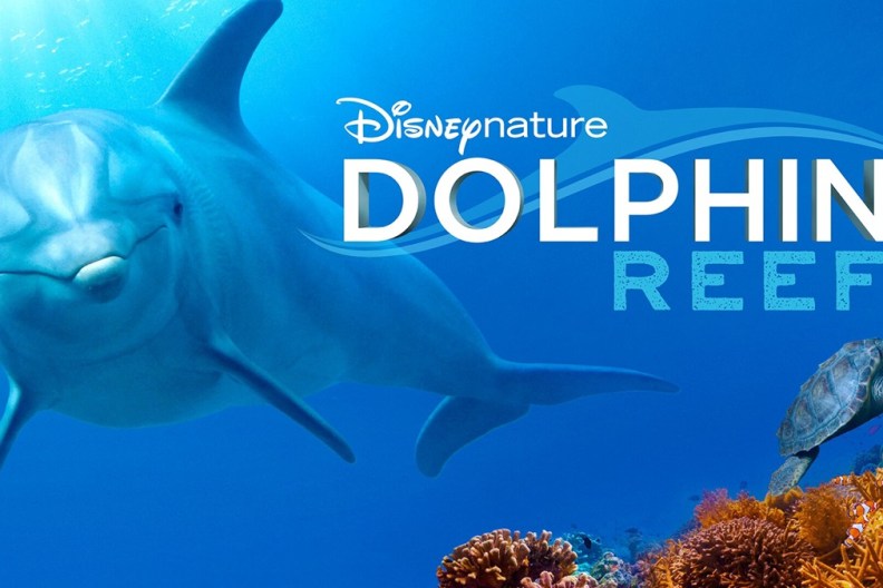 Dolphin Reef: Where to Watch & Stream Online