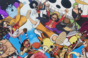 One Piece Straw Hat Pirates