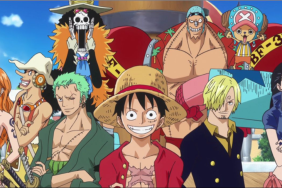 One Piece Wang Zhi