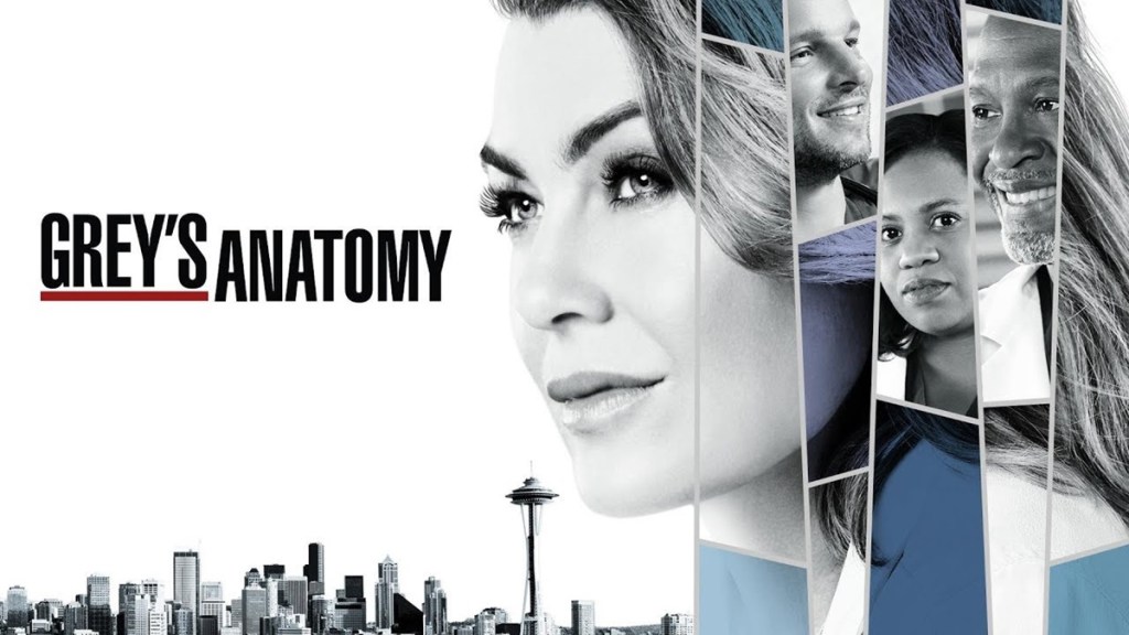 Grey's Anatomy Season 14 Streaming: Watch & Stream Online via Netflix