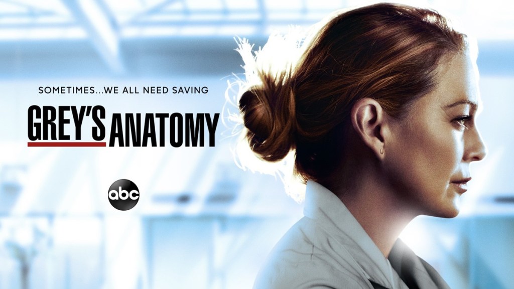 Grey's Anatomy Season 15 Streaming: Watch & Stream Online via Netflix