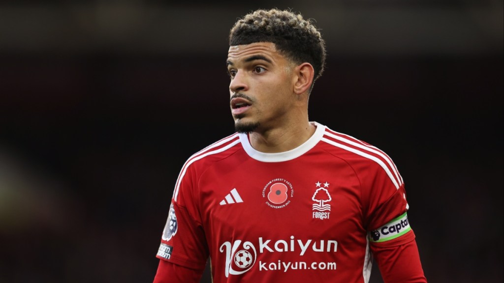 Nottingham Forest vs Brighton Live Stream