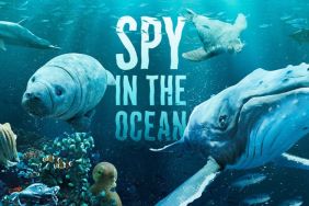 Spy in the Ocean, A Nature Miniseries