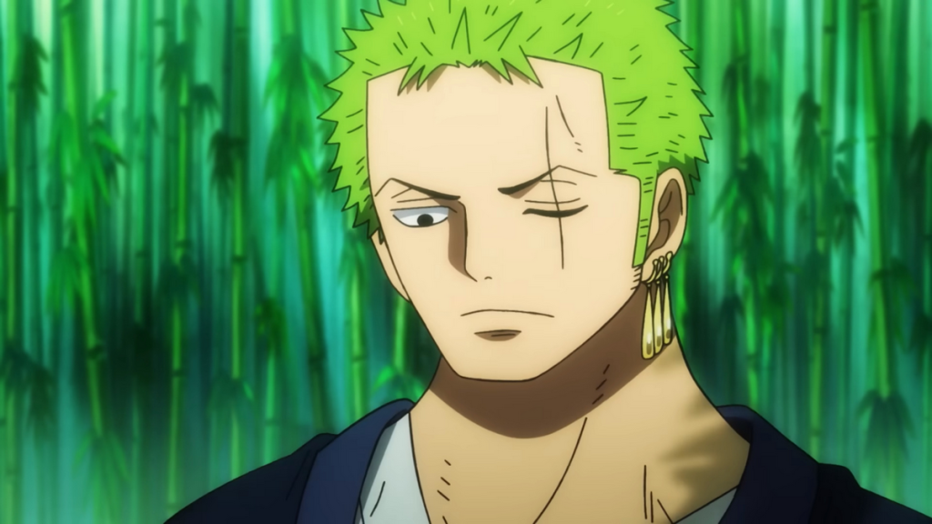 Zoro in One Piece