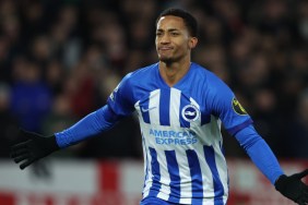 Brighton vs Brentford Live Stream