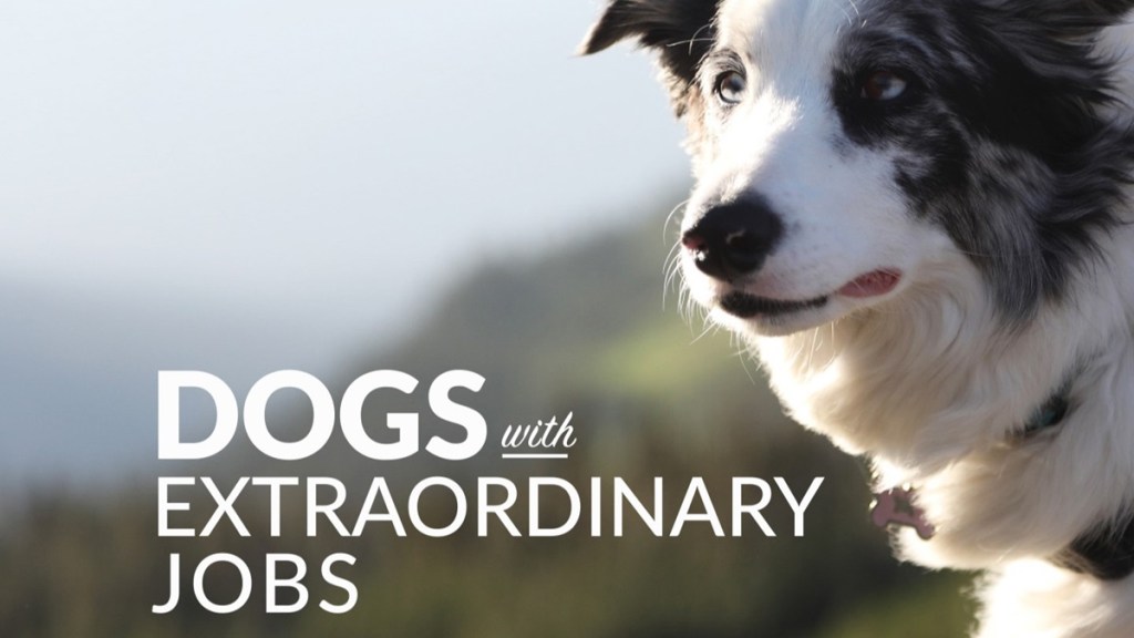 Dogs with Extraordinary Jobs Season 2 Streaming: Watch & Stream Online via Amazon Prime Video