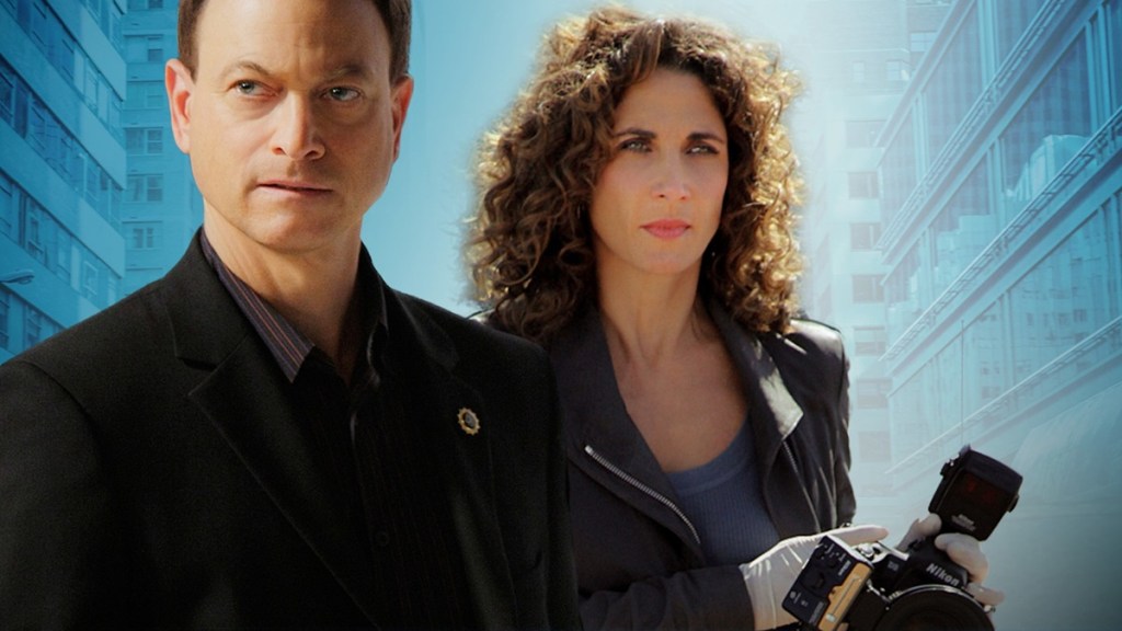 CSI: NY Season 2 Streaming: Watch & Stream Online via Hulu and Paramount Plus