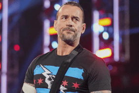 WWE Superstar CM Punk