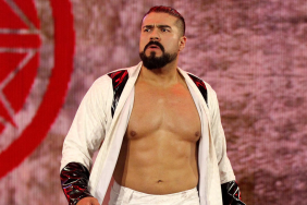 Former WWE Superstar Andrade