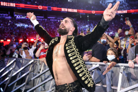 WWE Superstar Seth Rollins