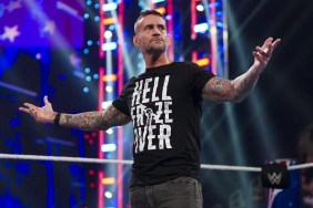 WWE Superstar CM Punk